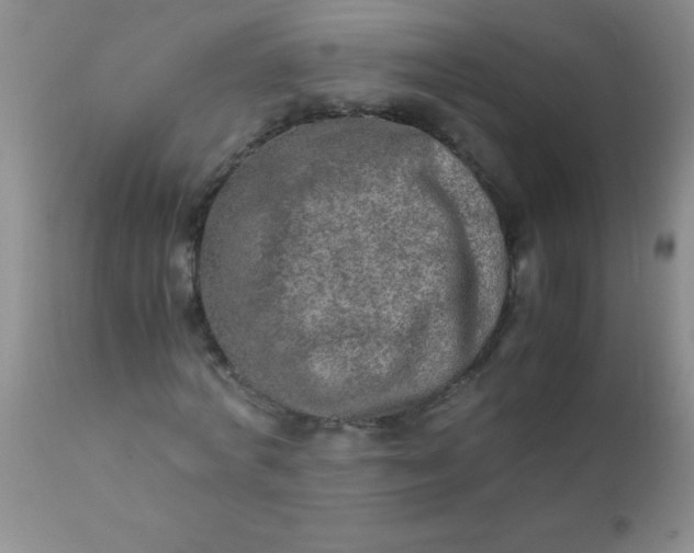 X0000110950772200907022156