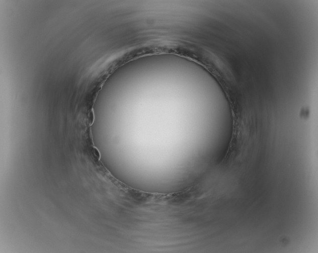 X0000110950773200907022156