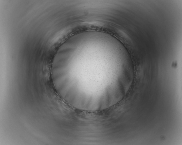 X0000110950774200907022156