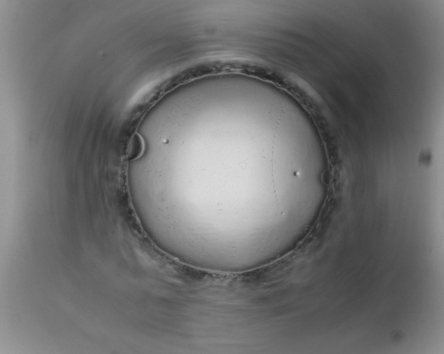 X0000110950775200907022156