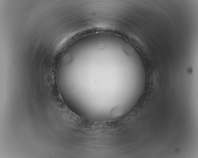 X0000110950776200907022156