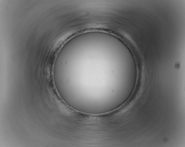 X0000110950777200907022156