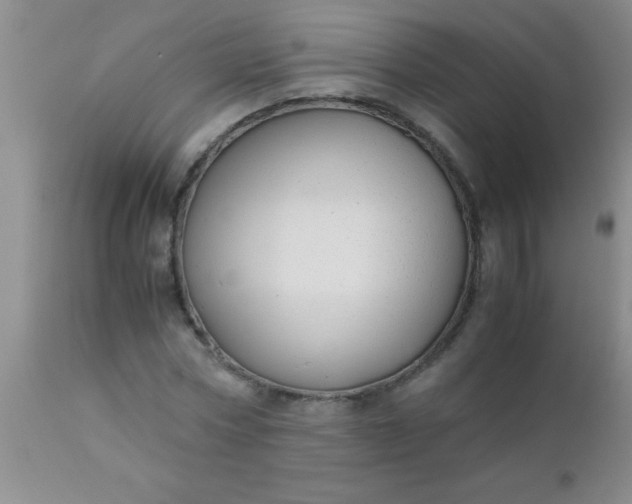 X0000110950778200907022156