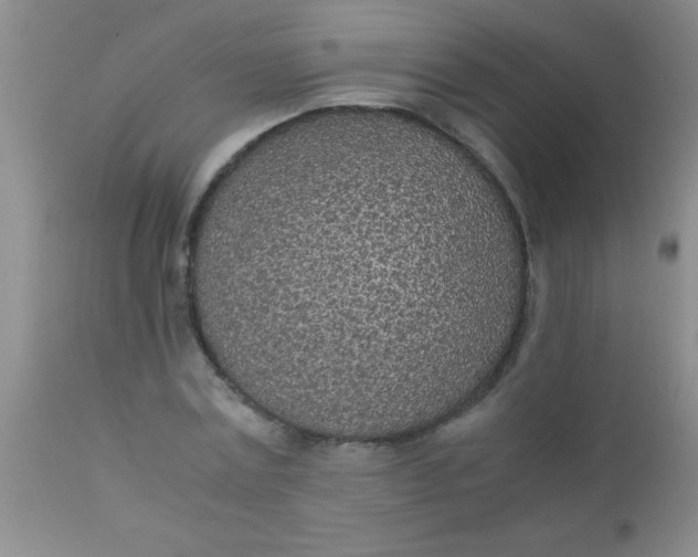 X0000110950779200907022156