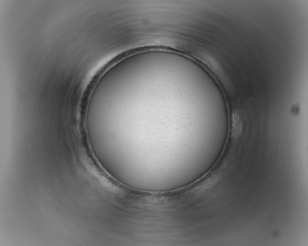 X0000110950780200907022156