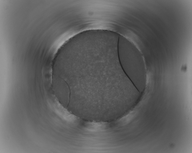 X0000110950781200907022156