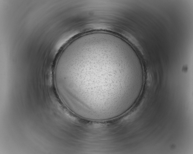 X0000110950782200907022156