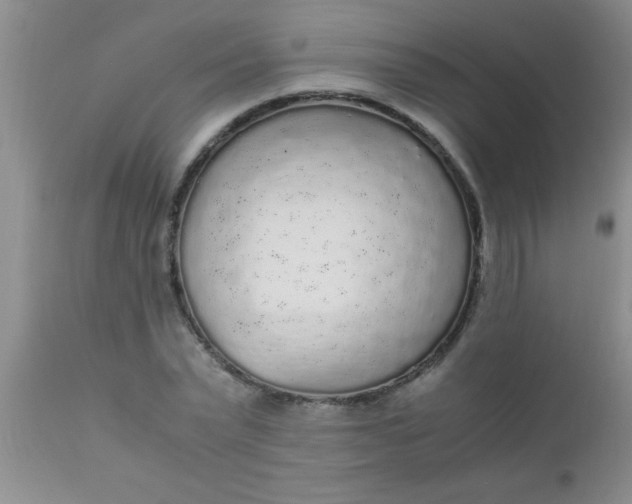 X0000110950783200907022156