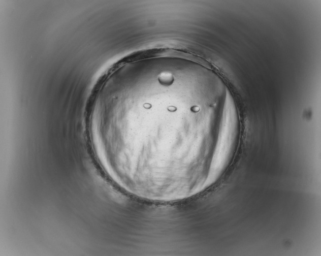 X0000110950784200907022156