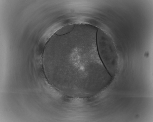 X0000110950785200907022156