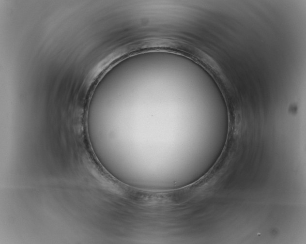 X0000110950786200907022156