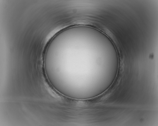 X0000110950787200907022156