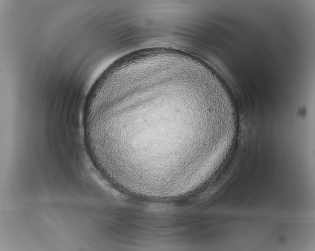 X0000110950788200907022156