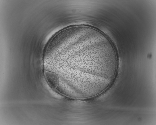 X0000110950789200907022156