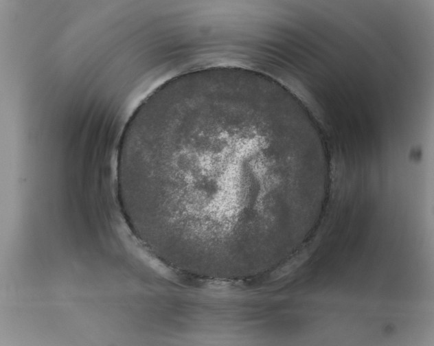 X0000110950790200907022156