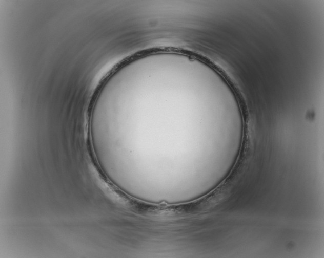 X0000110950791200907022156