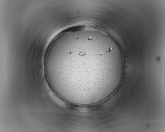 X0000110950792200907022156