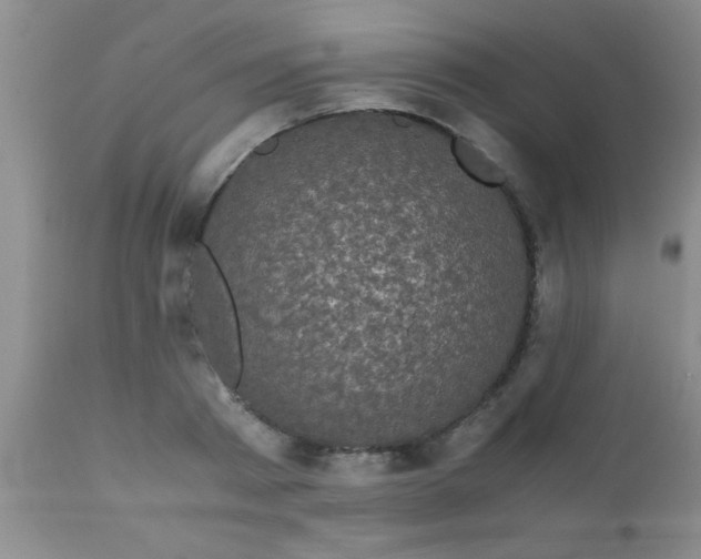 X0000110950793200907022156