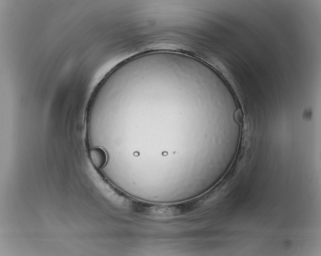 X0000110950795200907022156