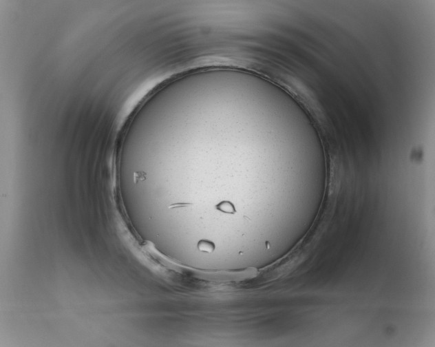 X0000110950796200907022156