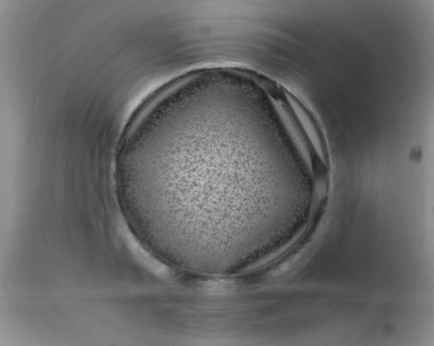 X0000110950797200907022156