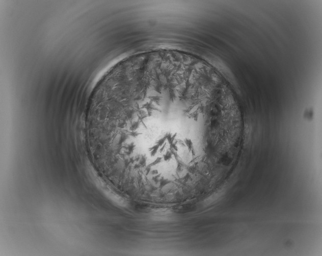 X0000110950798200907022156