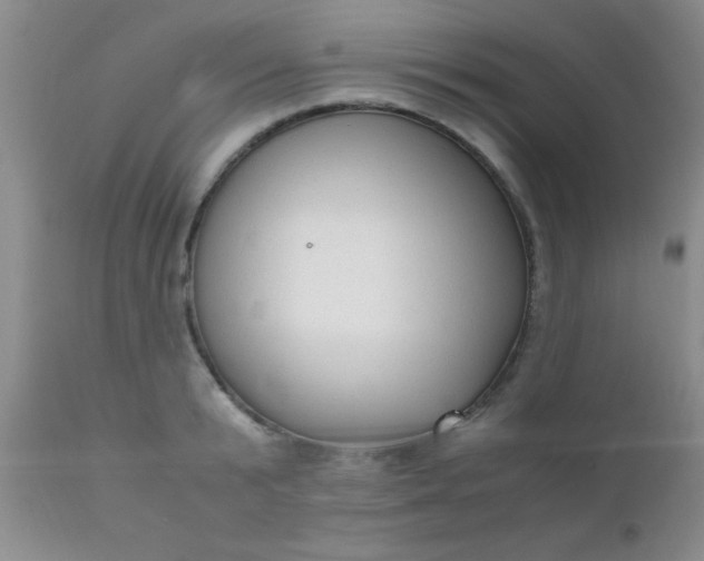 X0000110950799200907022156