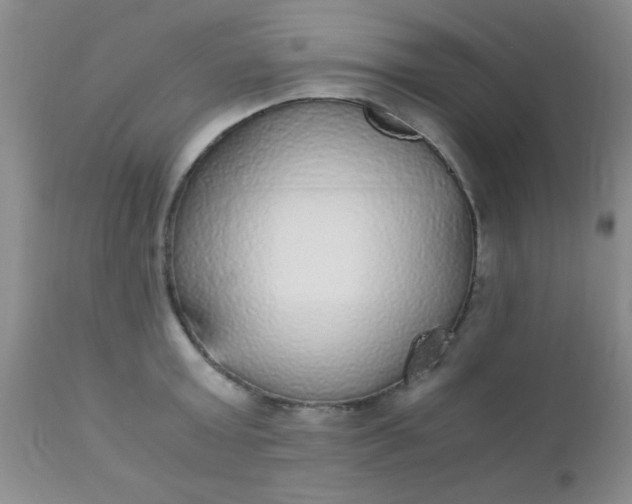 X0000110950803200907022156