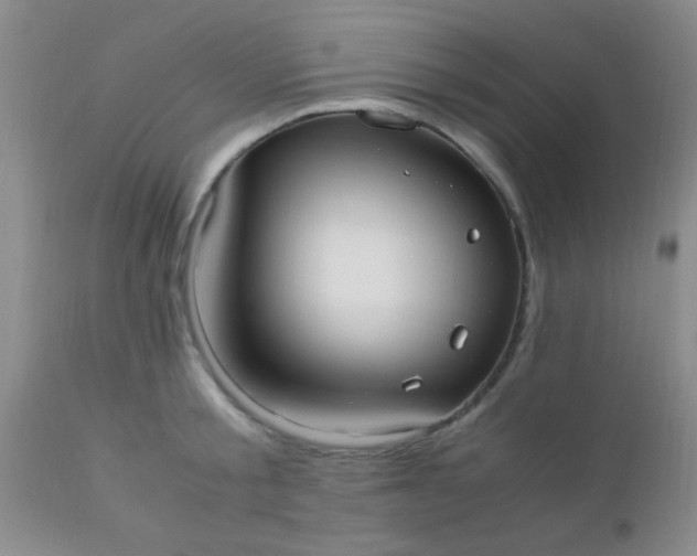 X0000110950805200907022156