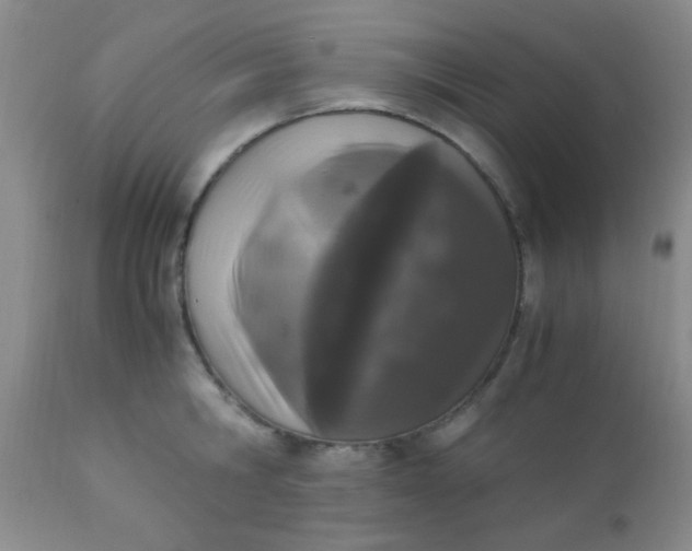 X0000110950806200907022156