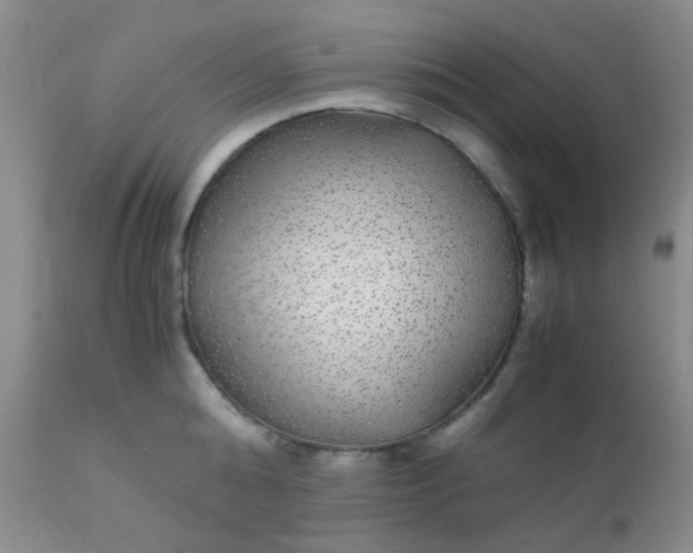 X0000110950808200907022156