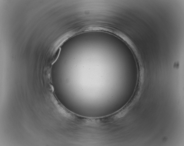 X0000110950809200907022156