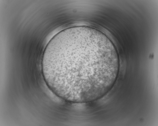 X0000110950810200907022156