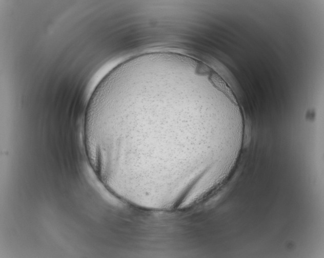 X0000110950812200907022155