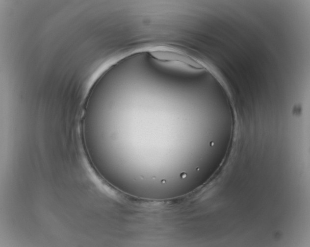 X0000110950813200907022155