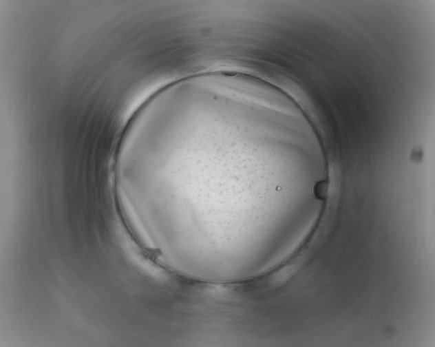 X0000110950814200907022155