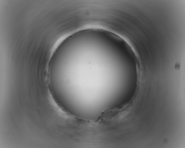 X0000110950815200907022155