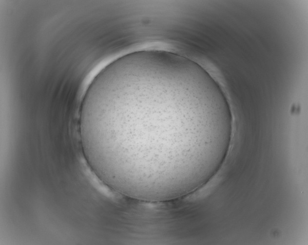 X0000110950816200907022155