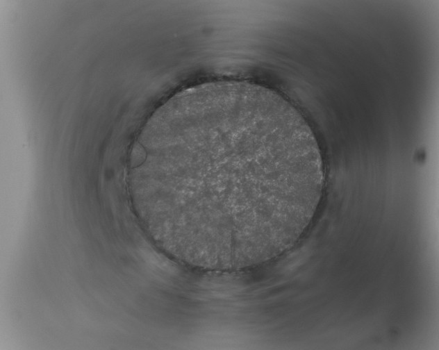 X0000110950817200907022154