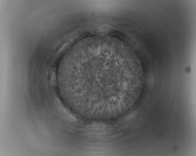 X0000110950818200907022154