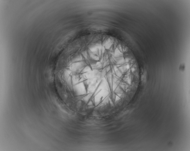 X0000110950819200907022154