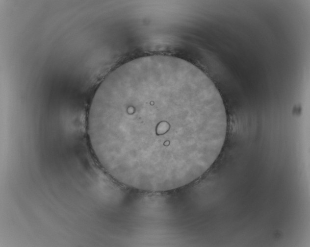 X0000110950820200907022154