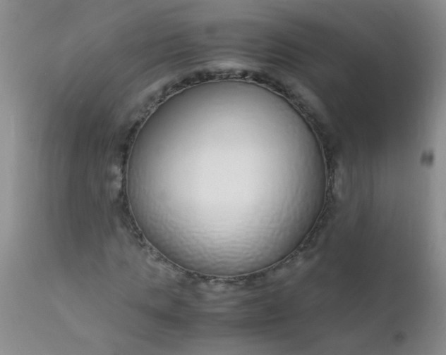 X0000110950821200907022154