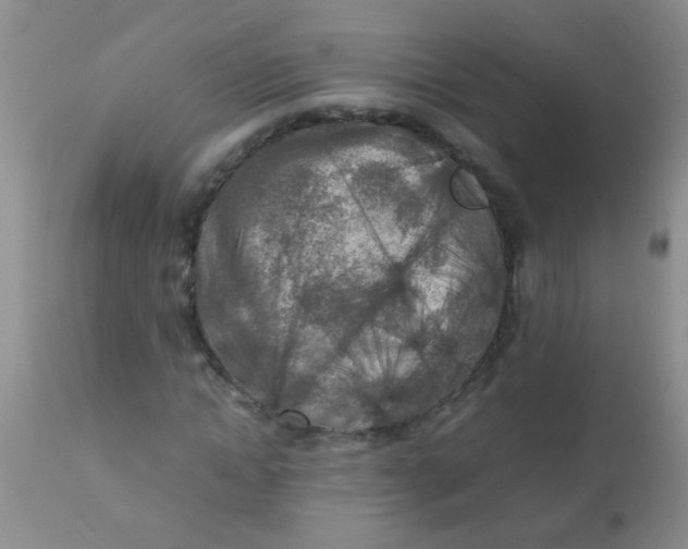 X0000110950822200907022154