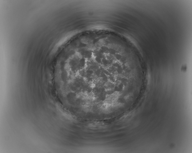 X0000110950823200907022155