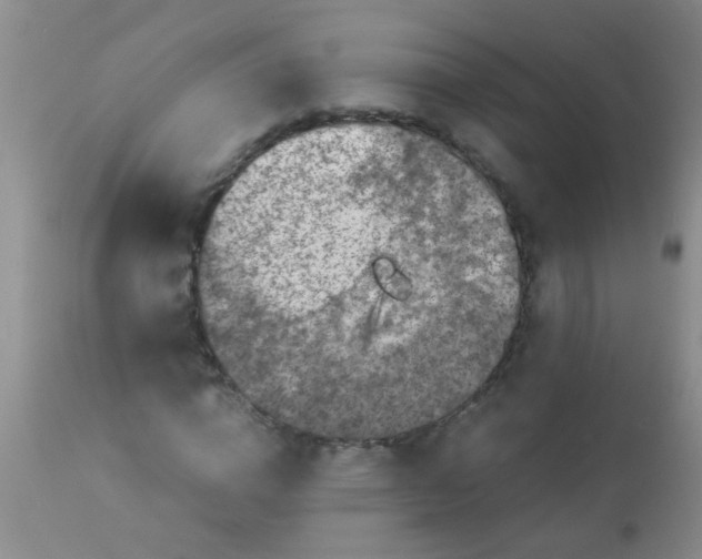 X0000110950824200907022155