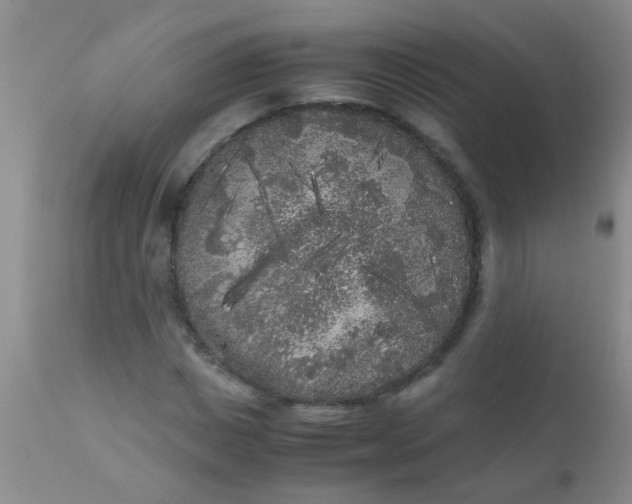 X0000110950825200907022155