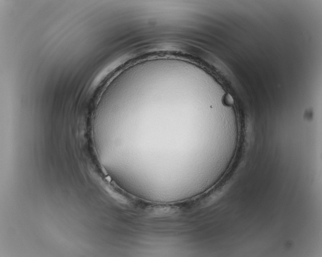 X0000110950826200907022155