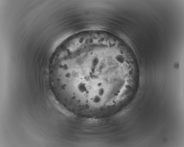 X0000110950827200907022155