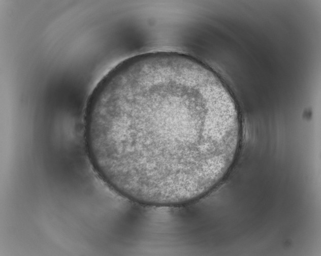 X0000110950828200907022155